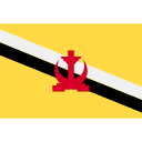 Brunei dollar flag