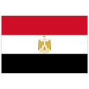 Egyptian pound flag