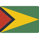 Guyanese dollar flag