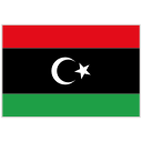 Libyan dinar flag