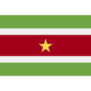 	Surinamese dollar flag