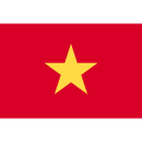 Vietnamese Dong flag